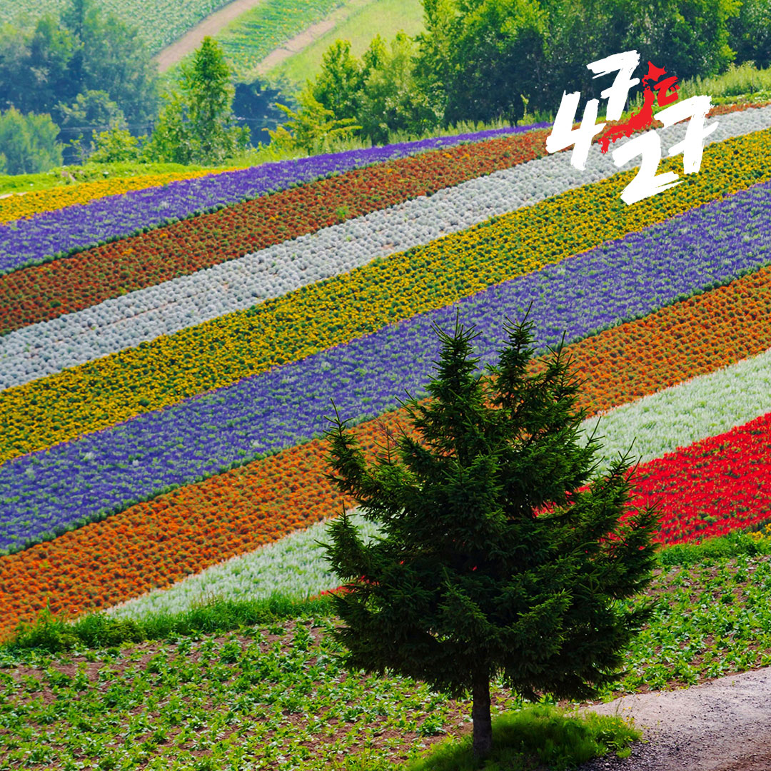 Hokkaido Region